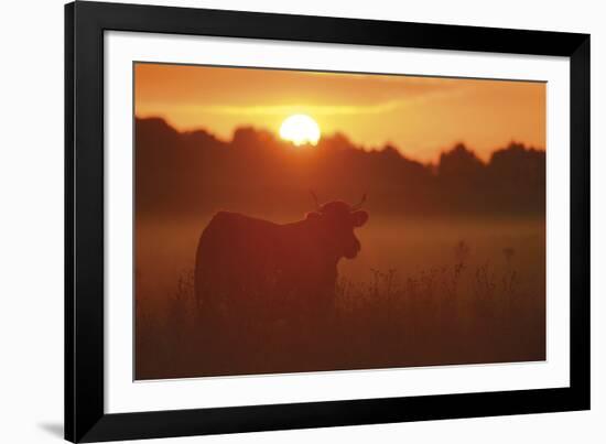 Sundown-Staffan Widstrand-Framed Giclee Print