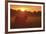 Sundown-Staffan Widstrand-Framed Giclee Print