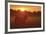 Sundown-Staffan Widstrand-Framed Giclee Print