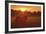 Sundown-Staffan Widstrand-Framed Giclee Print