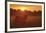 Sundown-Staffan Widstrand-Framed Giclee Print