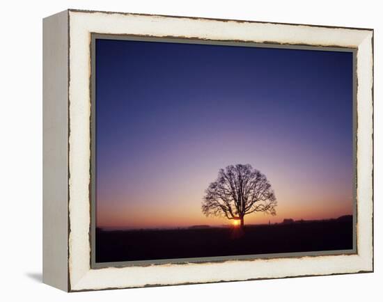 Sundown-PhotoINC-Framed Premier Image Canvas