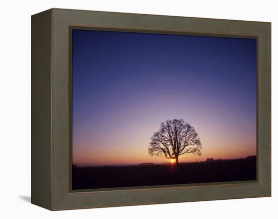 Sundown-PhotoINC-Framed Premier Image Canvas