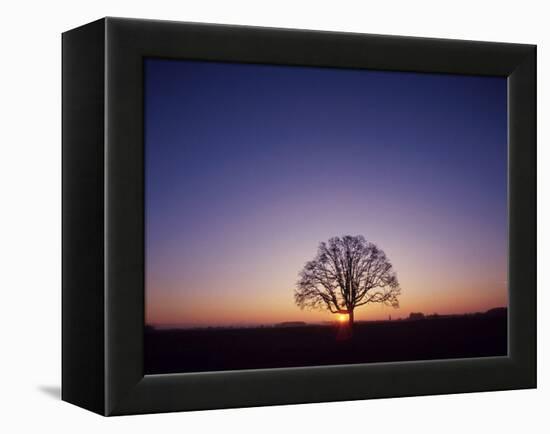 Sundown-PhotoINC-Framed Premier Image Canvas