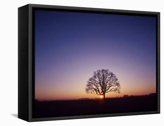 Sundown-PhotoINC-Framed Premier Image Canvas