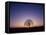 Sundown-PhotoINC-Framed Premier Image Canvas