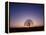 Sundown-PhotoINC-Framed Premier Image Canvas