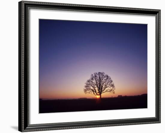 Sundown-PhotoINC-Framed Photographic Print