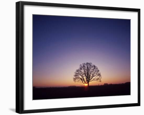 Sundown-PhotoINC-Framed Photographic Print