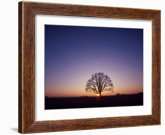 Sundown-PhotoINC-Framed Photographic Print