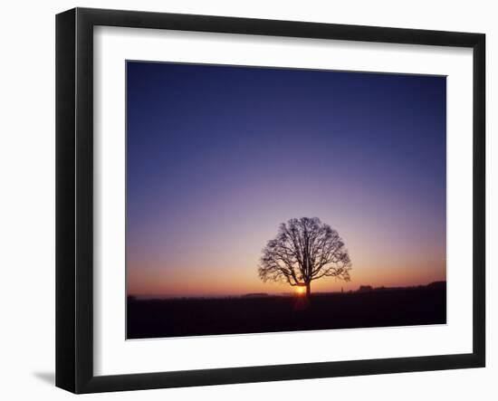 Sundown-PhotoINC-Framed Photographic Print