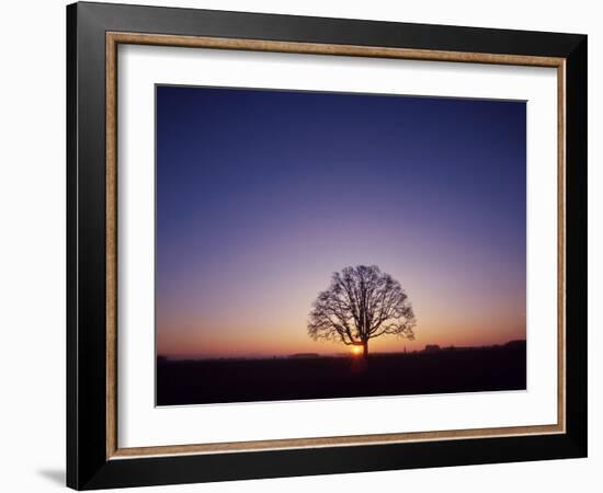 Sundown-PhotoINC-Framed Photographic Print