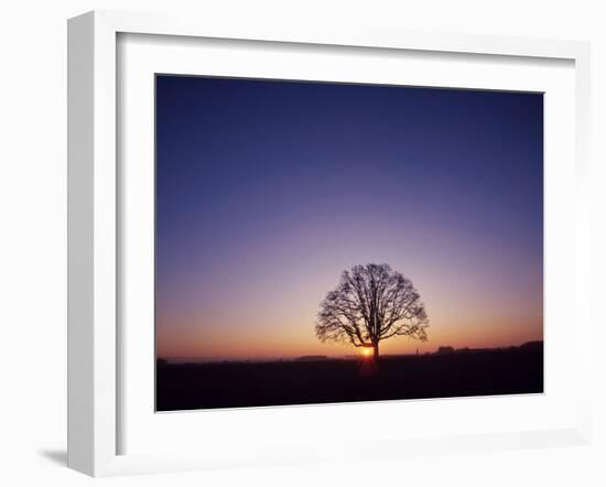 Sundown-PhotoINC-Framed Photographic Print