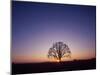Sundown-PhotoINC-Mounted Photographic Print