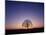 Sundown-PhotoINC-Mounted Photographic Print