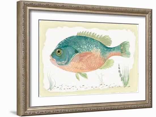 Sunfish on Retro Style Background-Milovelen-Framed Art Print