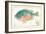 Sunfish on Retro Style Background-Milovelen-Framed Art Print