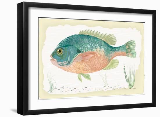 Sunfish on Retro Style Background-Milovelen-Framed Art Print