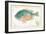 Sunfish on Retro Style Background-Milovelen-Framed Art Print