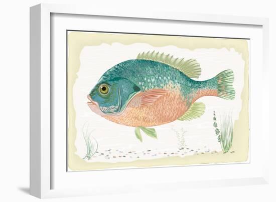 Sunfish on Retro Style Background-Milovelen-Framed Art Print