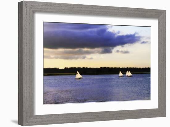 Sunfish Sailors I-Alan Hausenflock-Framed Photographic Print