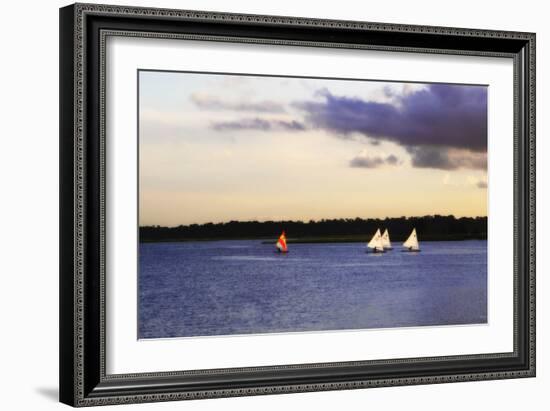 Sunfish Sailors II-Alan Hausenflock-Framed Photographic Print