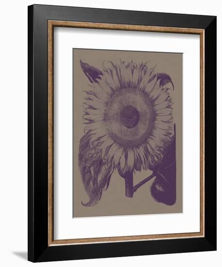 Sunflower 14-Botanical Series-Framed Art Print