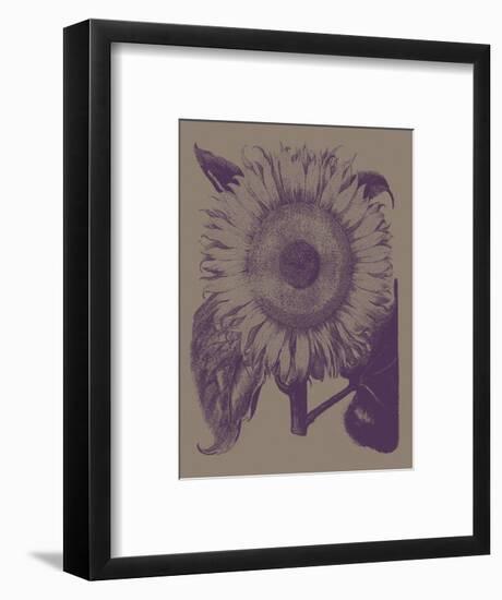 Sunflower 14-Botanical Series-Framed Art Print