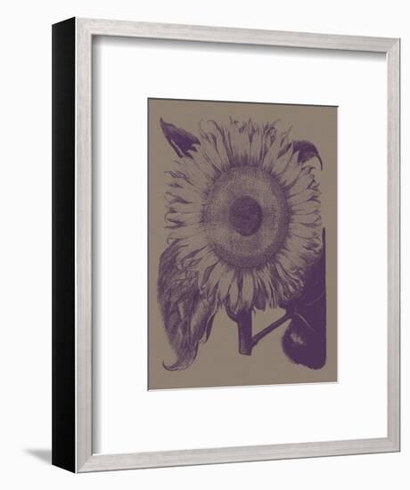 Sunflower 14-Botanical Series-Framed Art Print