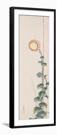 Sunflower, 1848 (Ink & Colour on Paper)-Katsushika Hokusai-Framed Giclee Print