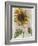 Sunflower 1-Denise Brown-Framed Art Print