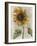 Sunflower 1-Denise Brown-Framed Art Print