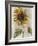 Sunflower 1-Denise Brown-Framed Art Print