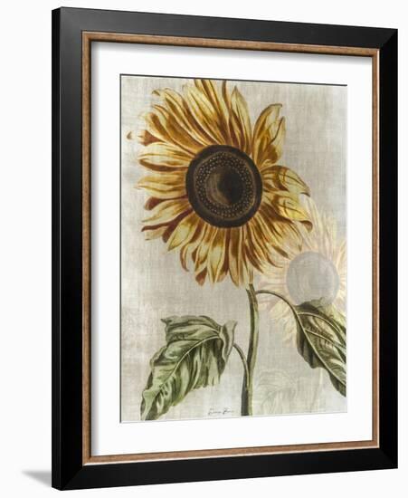 Sunflower 1-Denise Brown-Framed Art Print