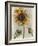 Sunflower 1-Denise Brown-Framed Art Print