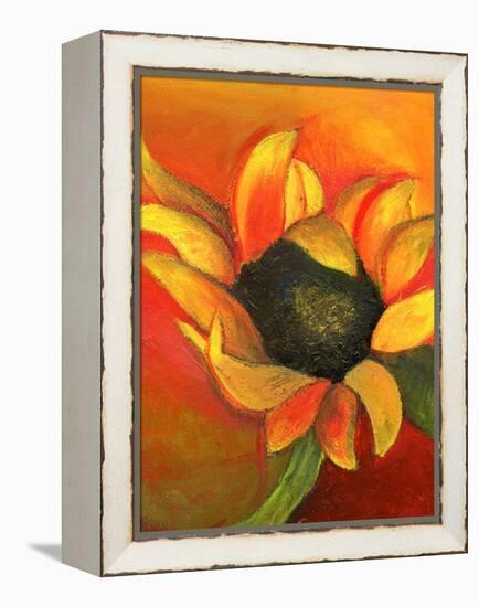 Sunflower, 2011-Nancy Moniz-Framed Premier Image Canvas