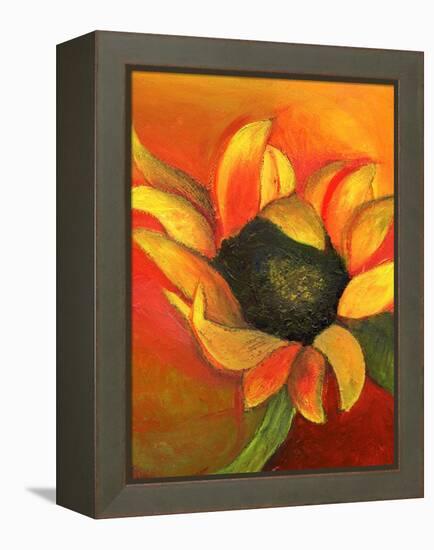 Sunflower, 2011-Nancy Moniz-Framed Premier Image Canvas