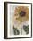 Sunflower 2-Denise Brown-Framed Art Print