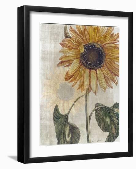 Sunflower 2-Denise Brown-Framed Art Print