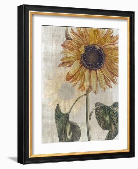 Sunflower 2-Denise Brown-Framed Art Print