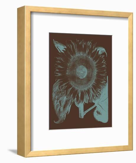 Sunflower 6-Botanical Series-Framed Art Print