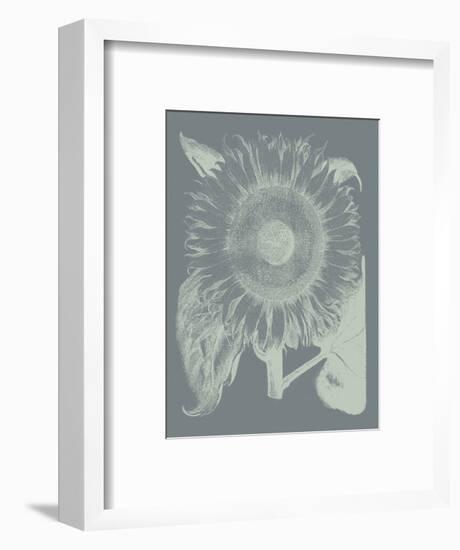 Sunflower 7-Botanical Series-Framed Art Print