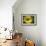 Sunflower and Bee I-Rita Crane-Framed Photographic Print displayed on a wall
