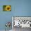 Sunflower and Bee II-Rita Crane-Photographic Print displayed on a wall