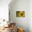 Sunflower and Bee II-Rita Crane-Photographic Print displayed on a wall