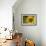 Sunflower and Bee II-Rita Crane-Framed Photographic Print displayed on a wall