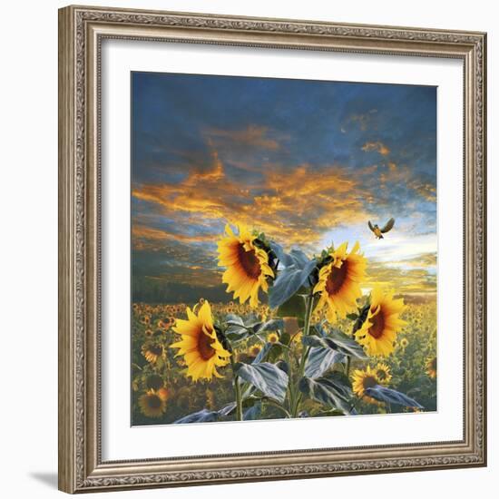 Sunflower And Bird-Ata Alishahi-Framed Giclee Print