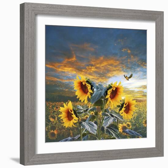 Sunflower And Bird-Ata Alishahi-Framed Giclee Print