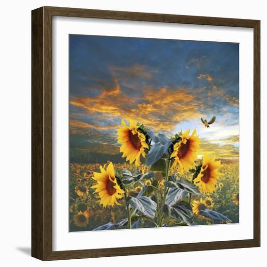 Sunflower And Bird-Ata Alishahi-Framed Giclee Print