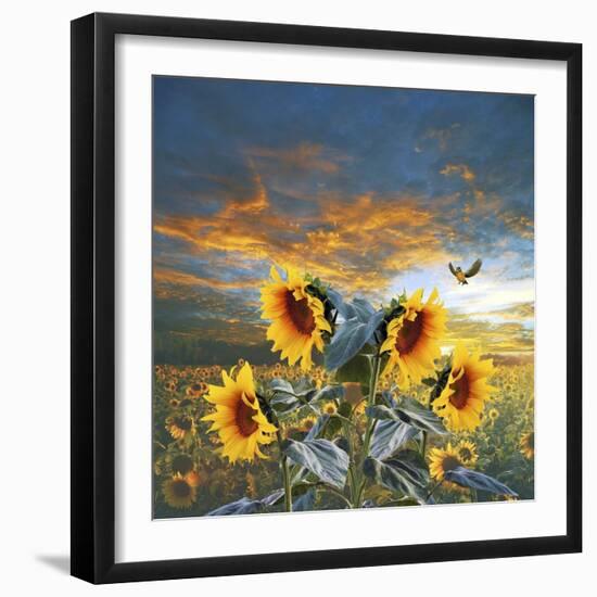 Sunflower And Bird-Ata Alishahi-Framed Giclee Print